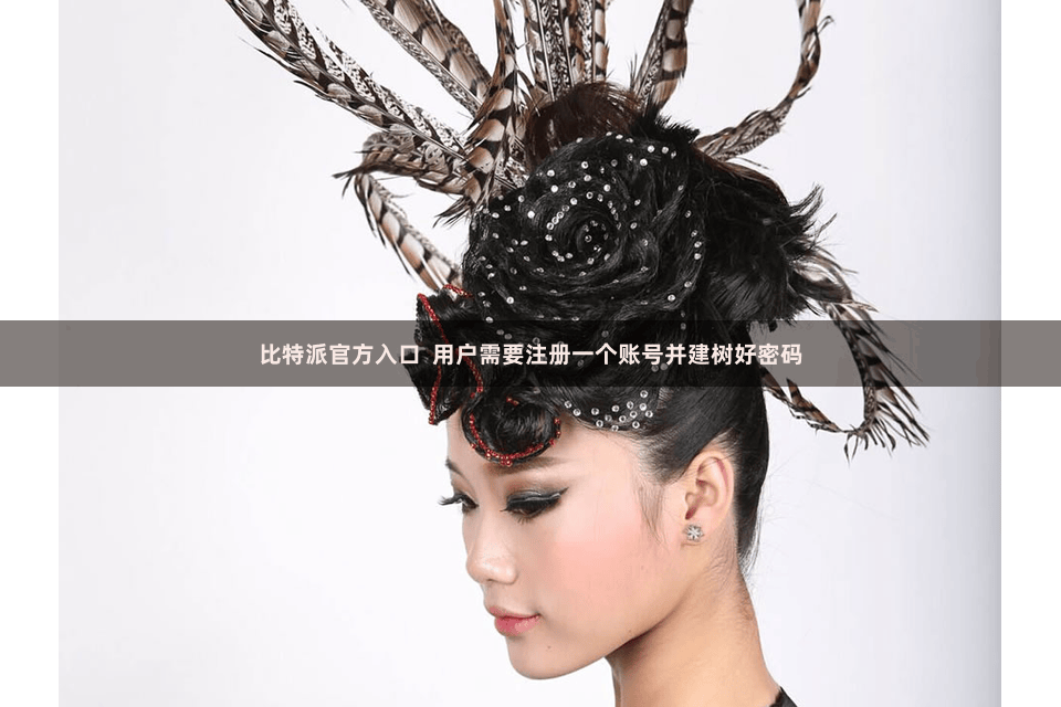 比特派官方入口 用户需要注册一个账号并建树好密码