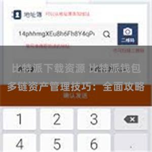 比特派下载资源 比特派钱包多链资产管理技巧：全面攻略