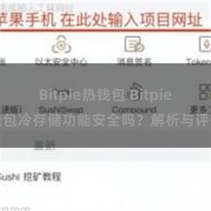 Bitpie热钱包 Bitpie钱包冷存储功能安全吗？解析与评估