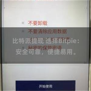 比特派提现 选择Bitpie：安全可靠，便捷易用。