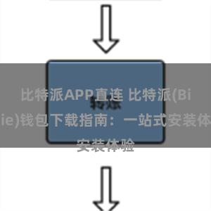比特派APP直连 比特派(Bitpie)钱包下载指南：一站式安装体验