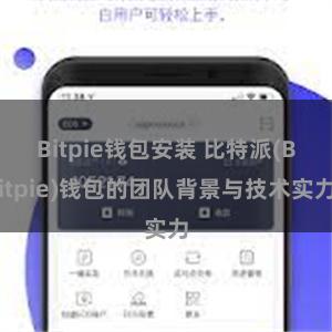 Bitpie钱包安装 比特派(Bitpie)钱包的团队背景与技术实力