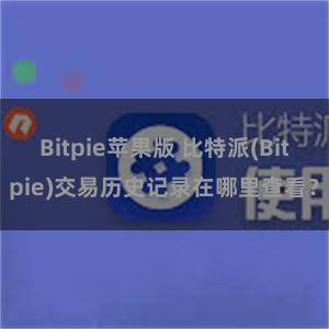 Bitpie苹果版 比特派(Bitpie)交易历史记录在哪里查看？
