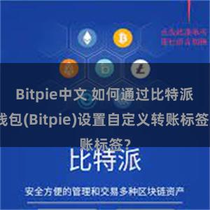 Bitpie中文 如何通过比特派钱包(Bitpie)设置自定义转账标签？