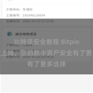 比特派安全教程 Bitpie苹果版上线，您的数字资产安全有了更多选择