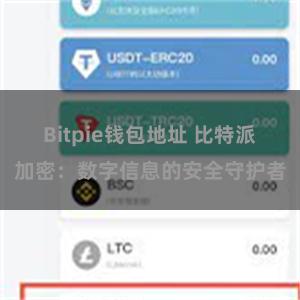 Bitpie钱包地址 比特派加密：数字信息的安全守护者