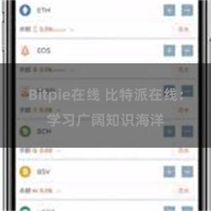 Bitpie在线 比特派在线：学习广阔知识海洋